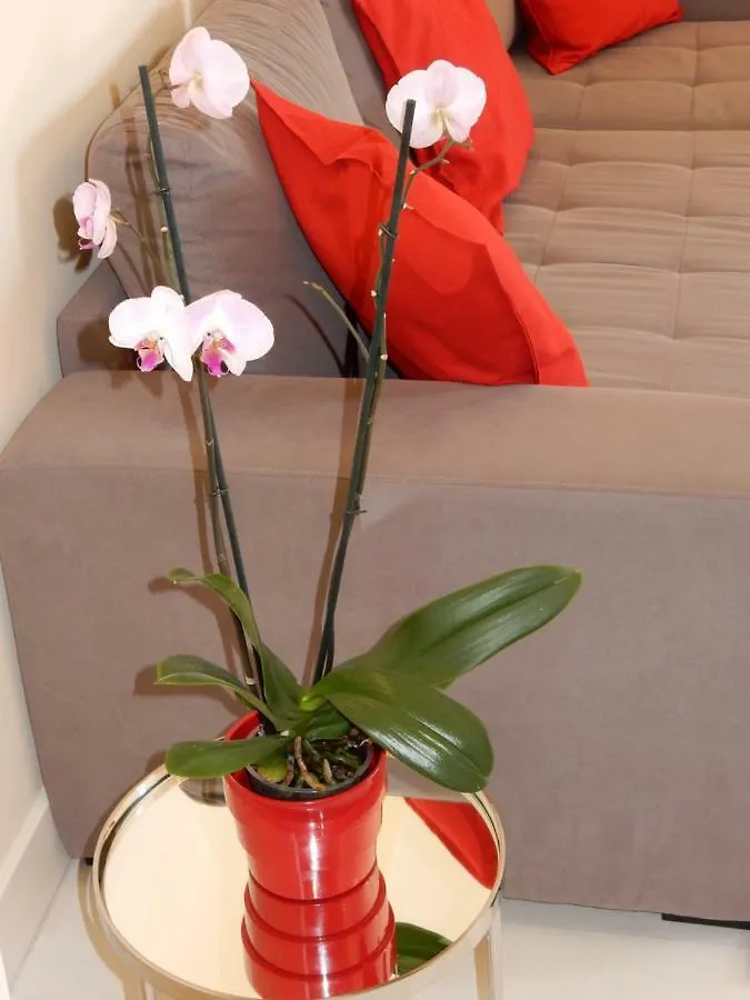 Beach & Sea Apt, Fast Wifi, Airco, Private Parking And Pool ポルティマン 0*,  ポルトガル
